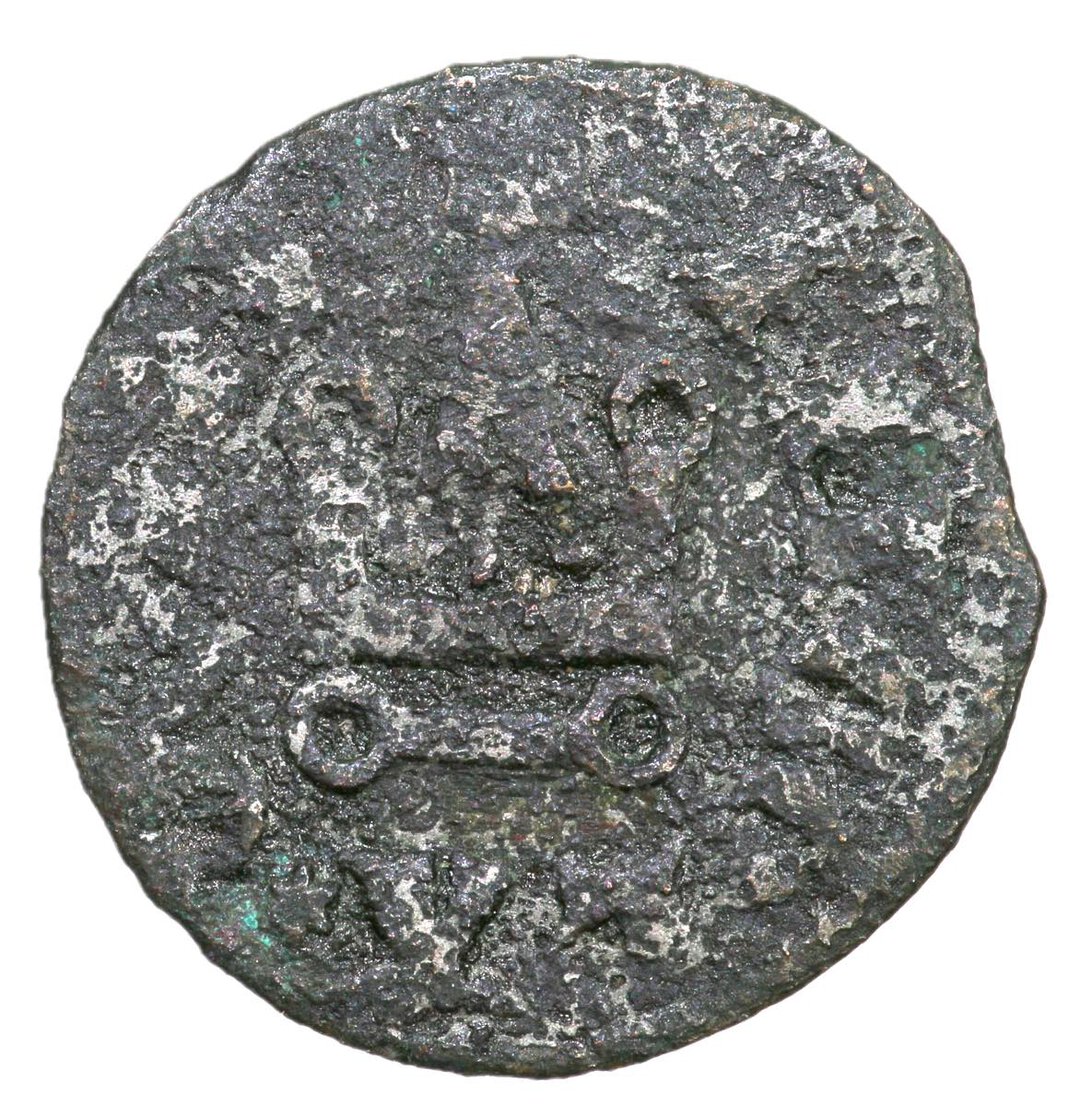 Dritto moneta