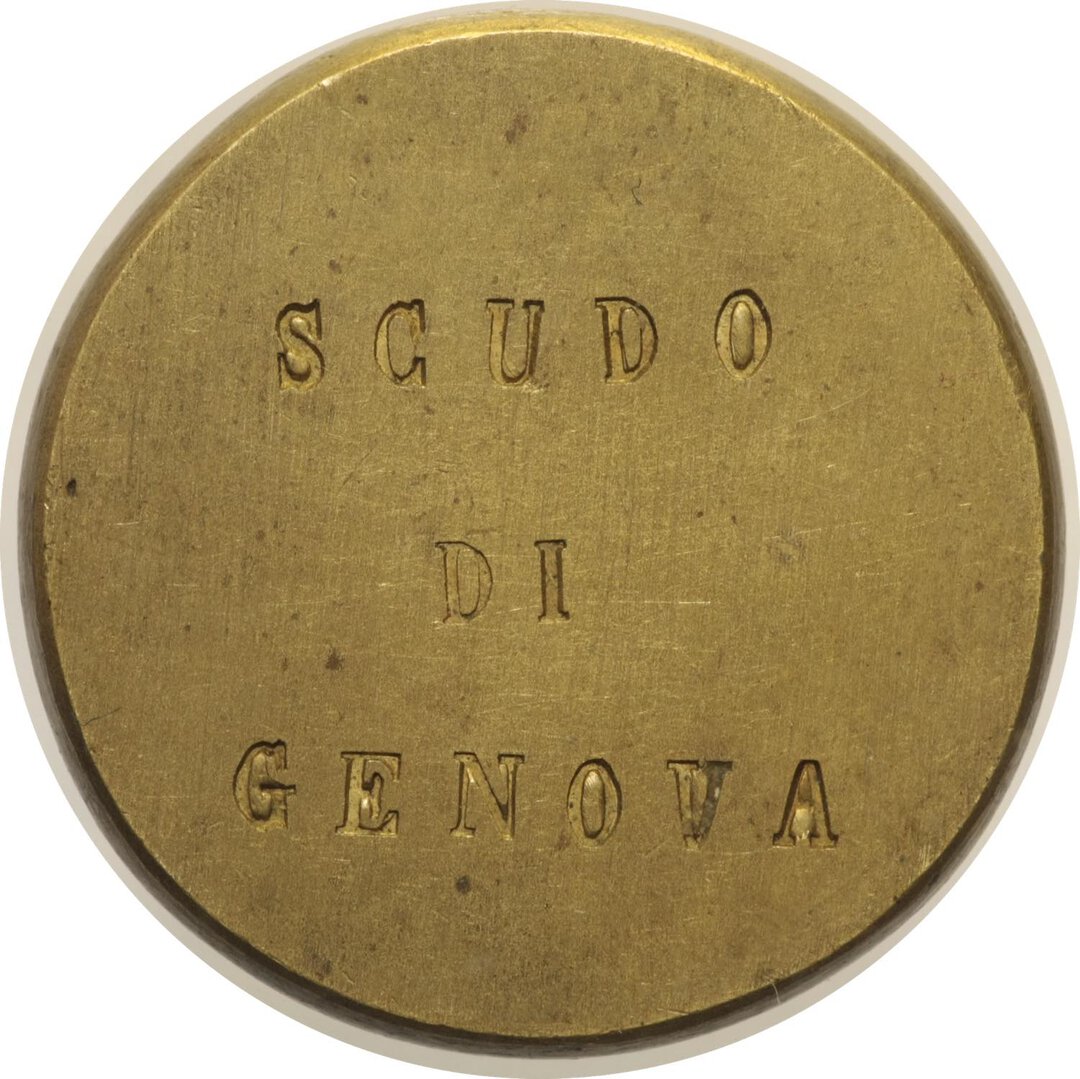 Dritto moneta