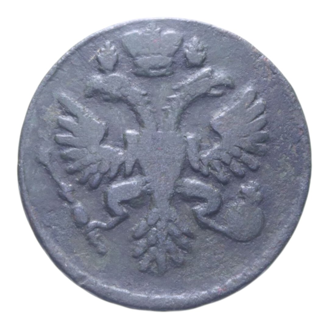 Dritto moneta