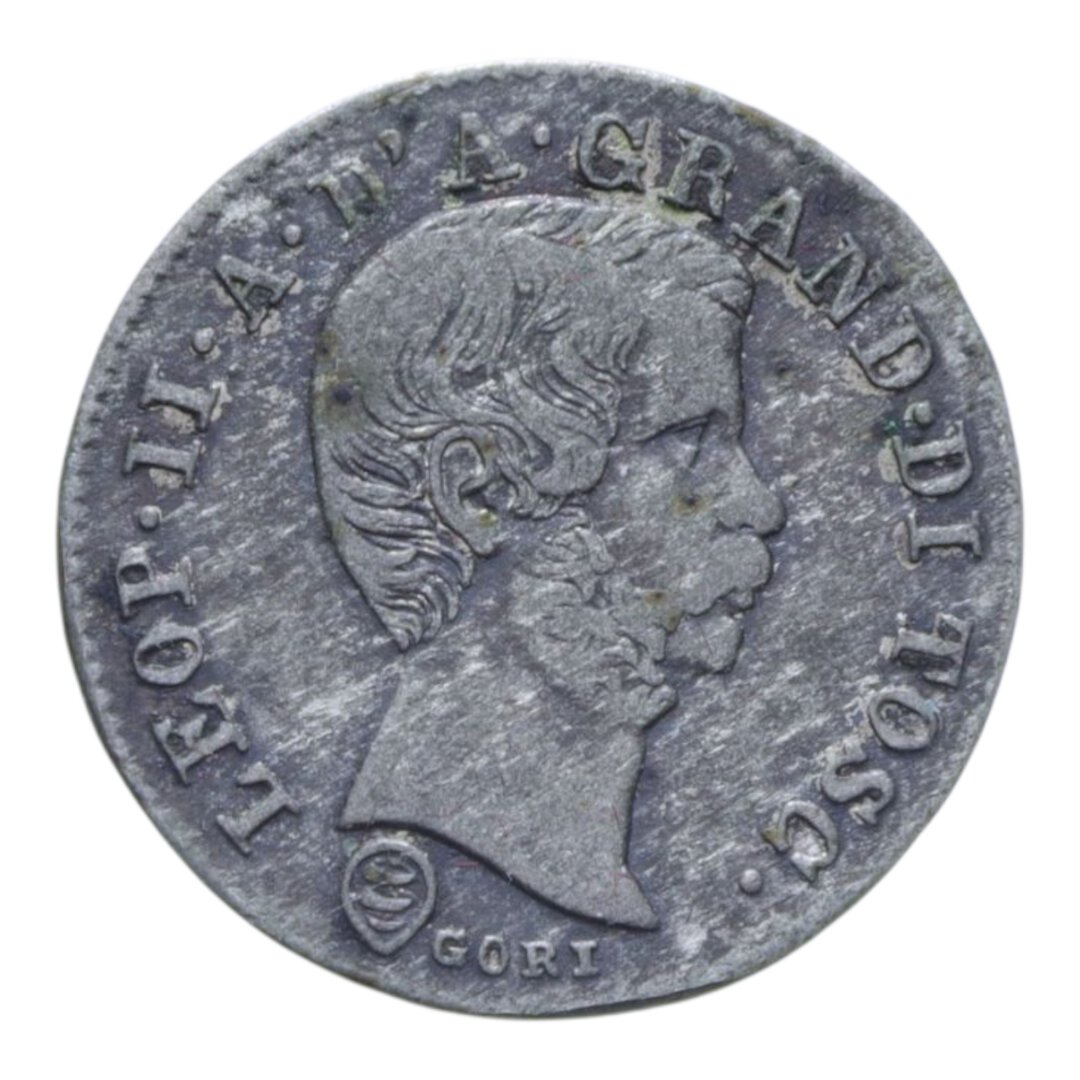 Dritto moneta