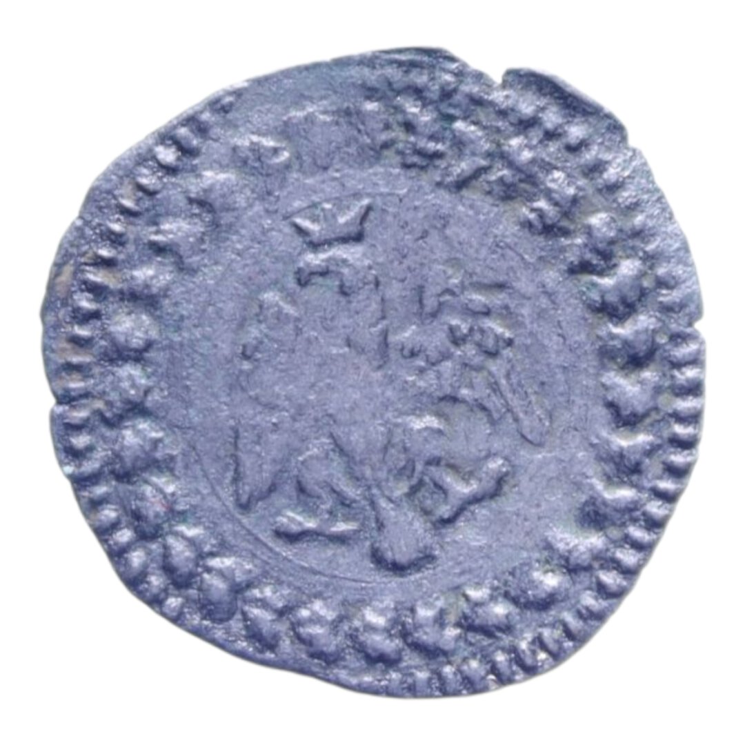 Dritto moneta
