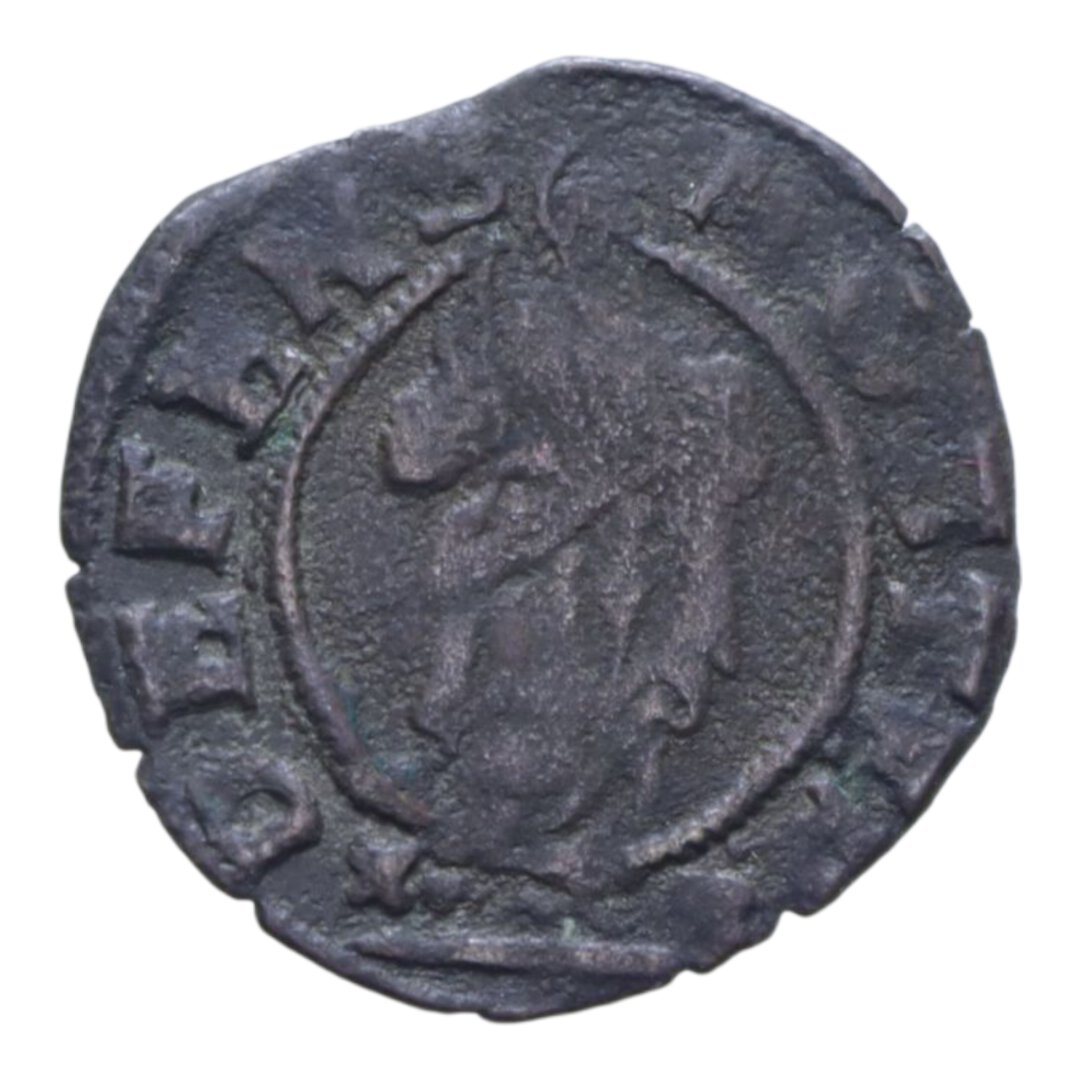Dritto moneta
