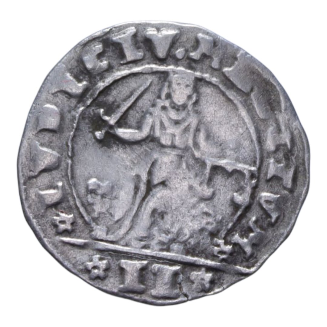 Rovescio moneta