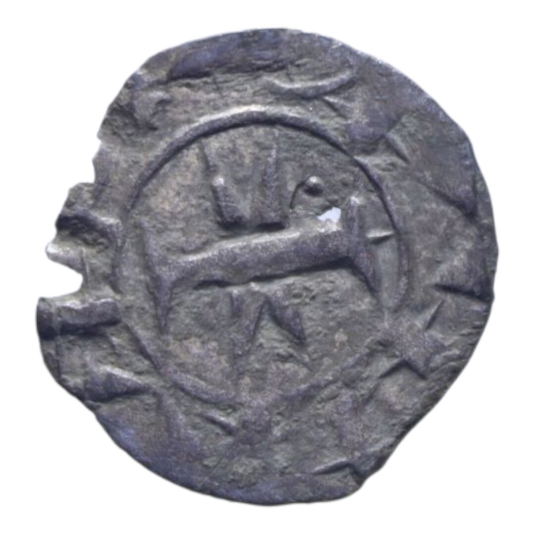 Dritto moneta
