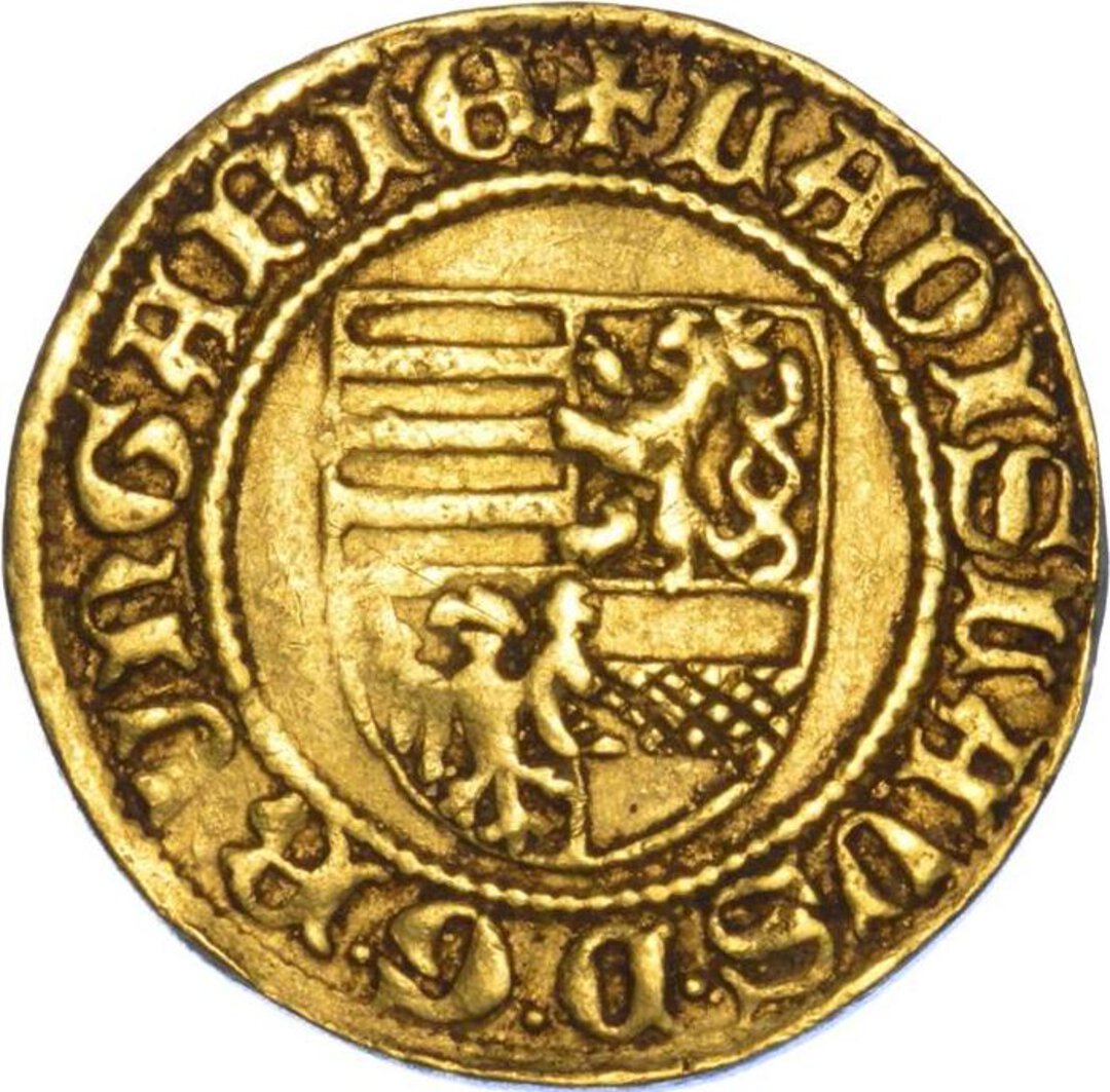 Dritto moneta