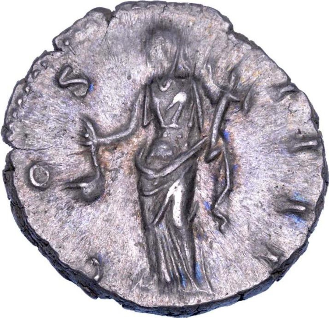 Rovescio moneta
