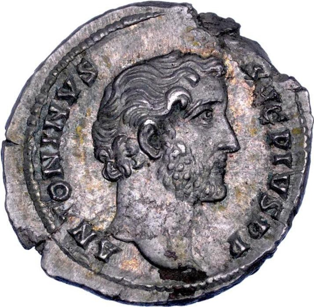 Dritto moneta