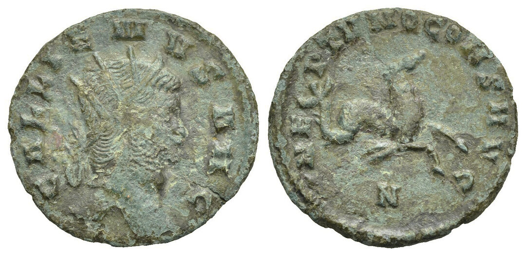 Dritto moneta