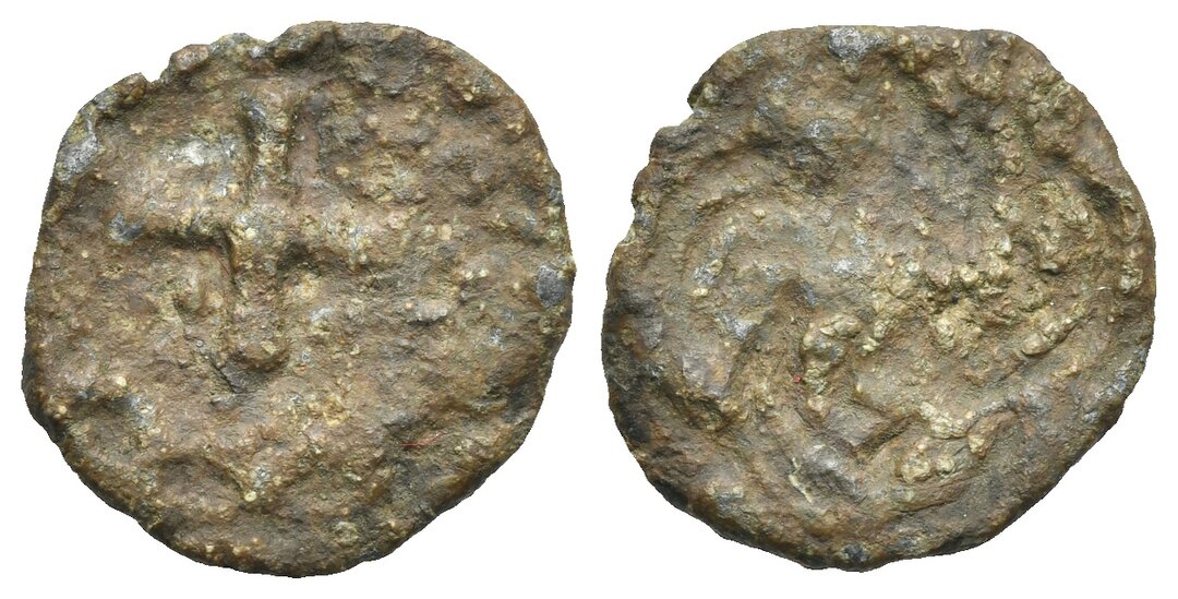 Dritto moneta