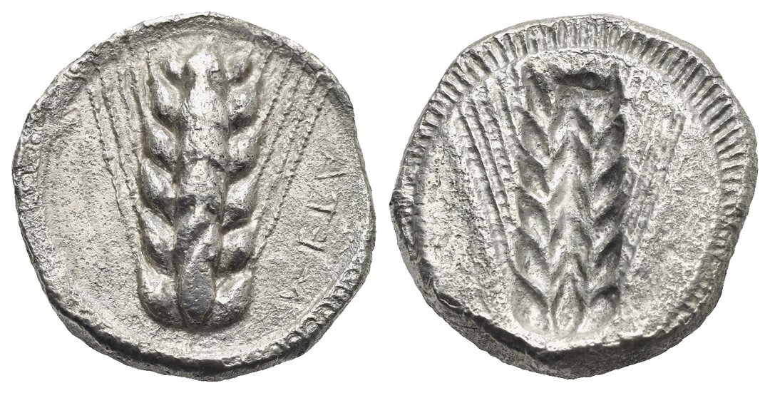 Dritto moneta