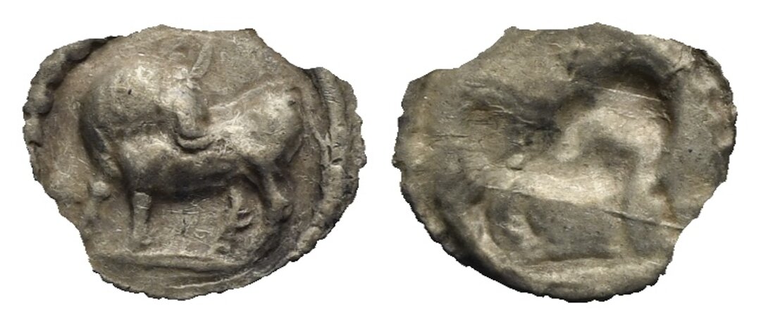 Dritto moneta