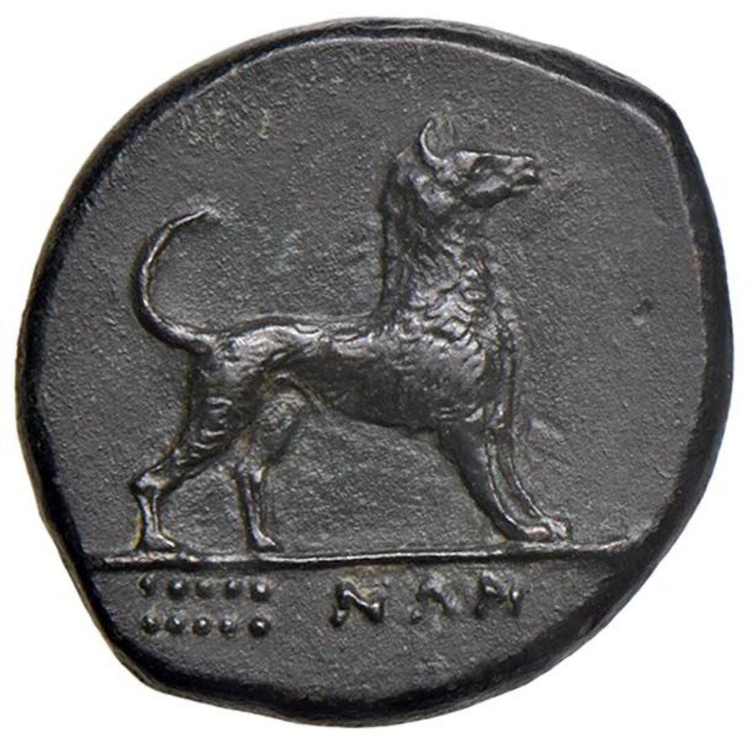 Rovescio moneta