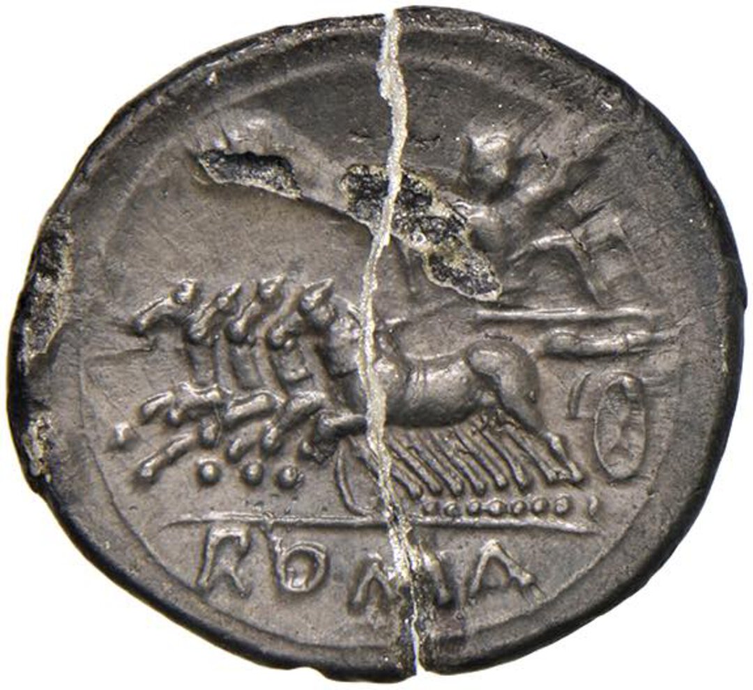 Rovescio moneta
