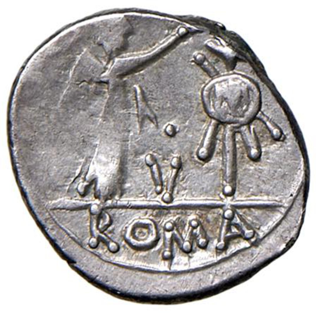 Rovescio moneta