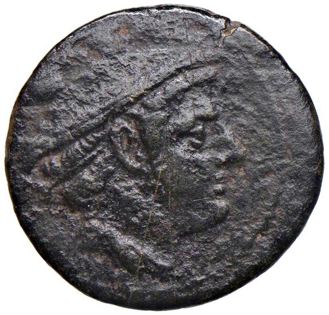 Dritto moneta
