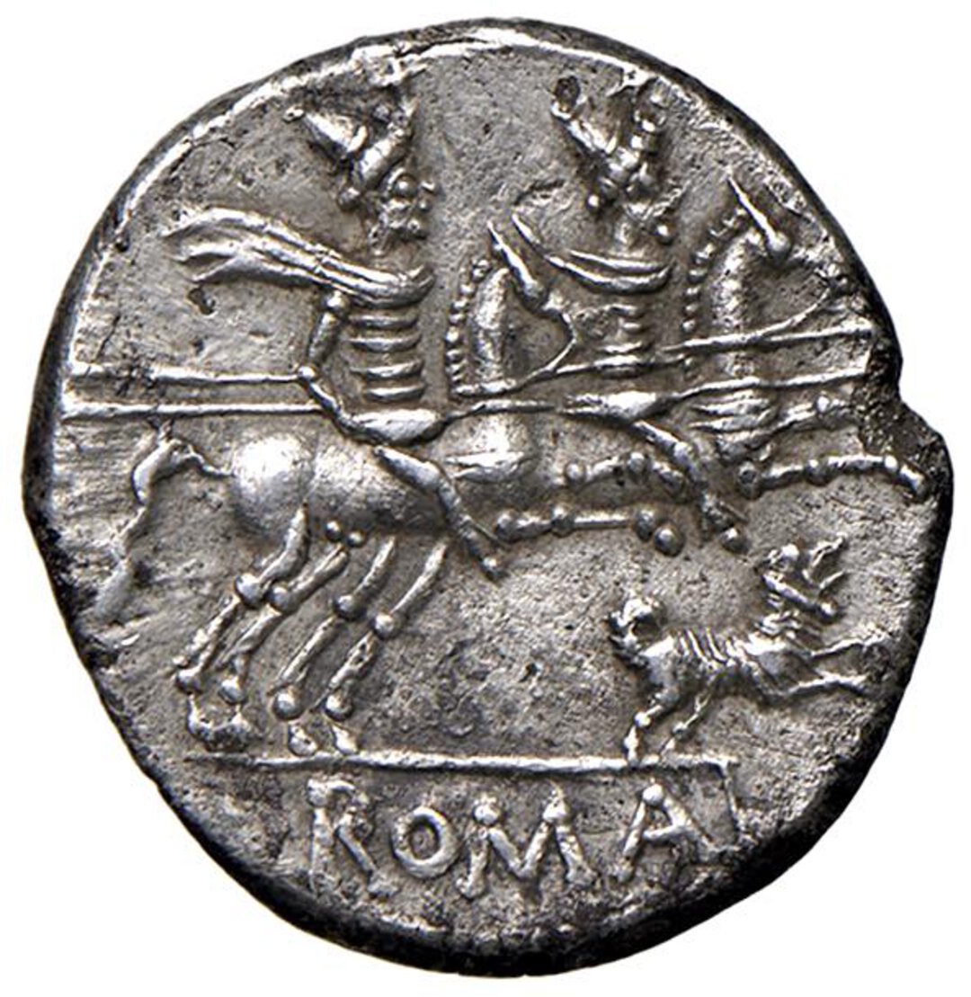 Rovescio moneta