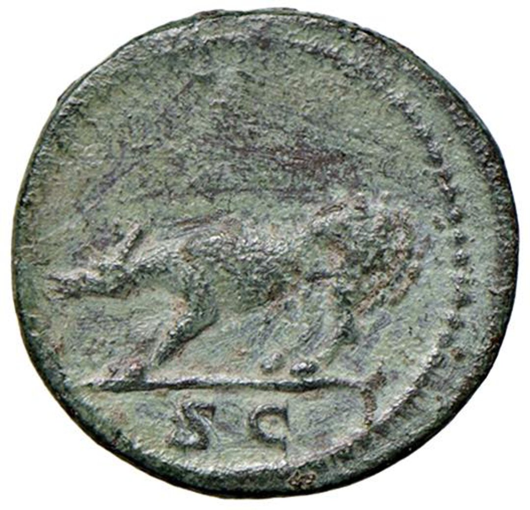 Rovescio moneta
