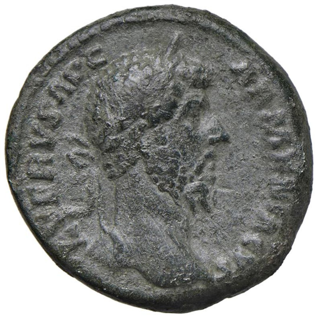 Dritto moneta