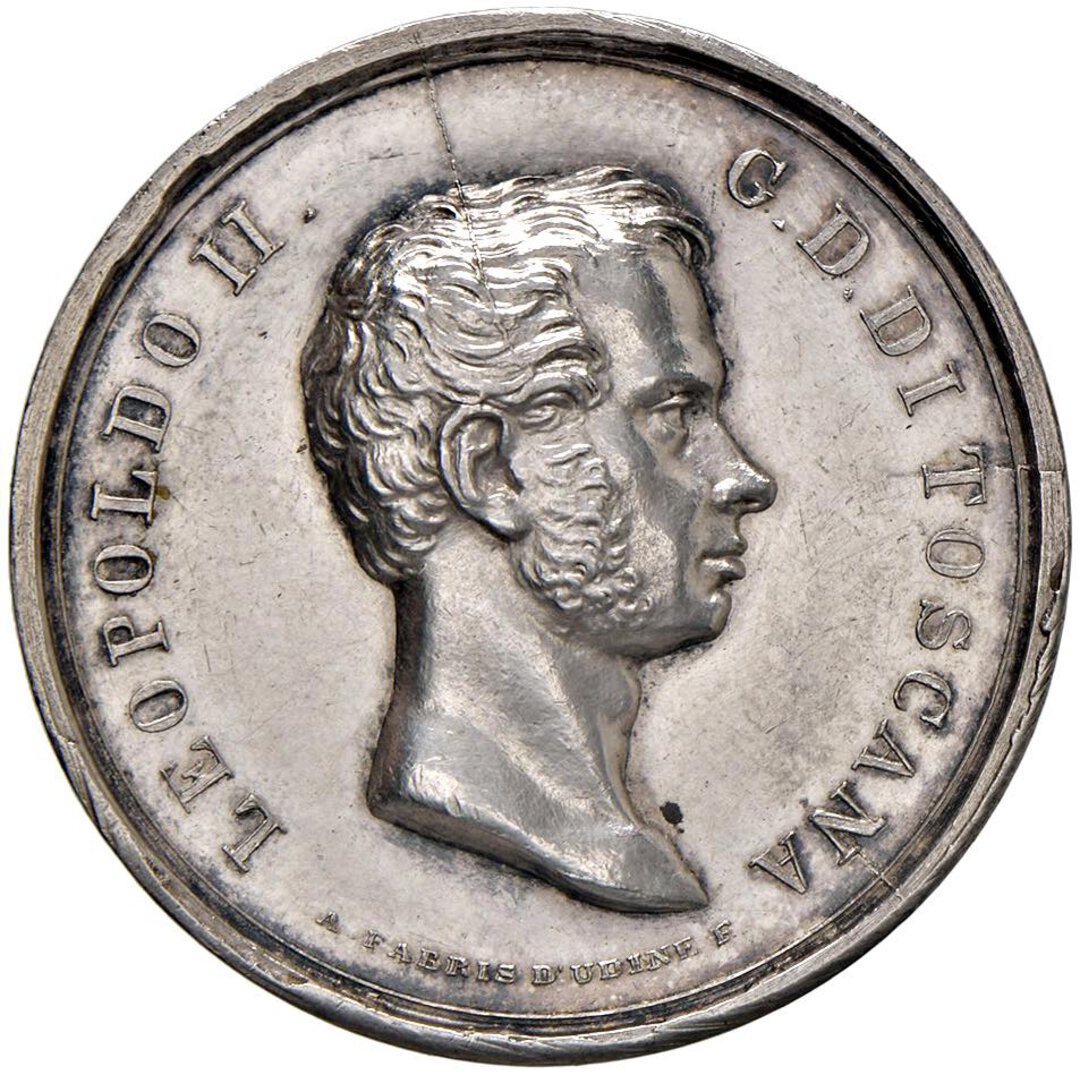 Dritto moneta