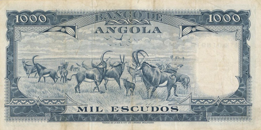 Dritto moneta