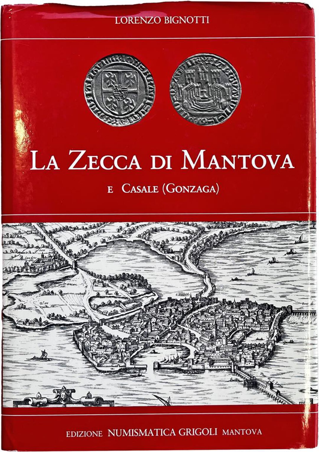 Dritto moneta