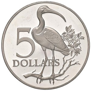 Reverse image