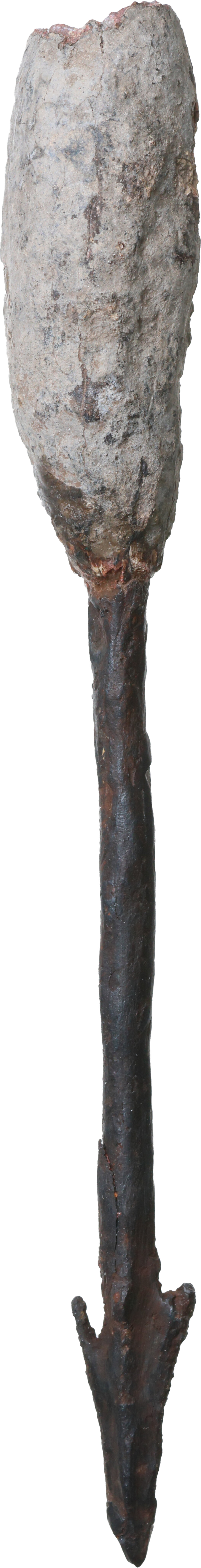Dritto moneta