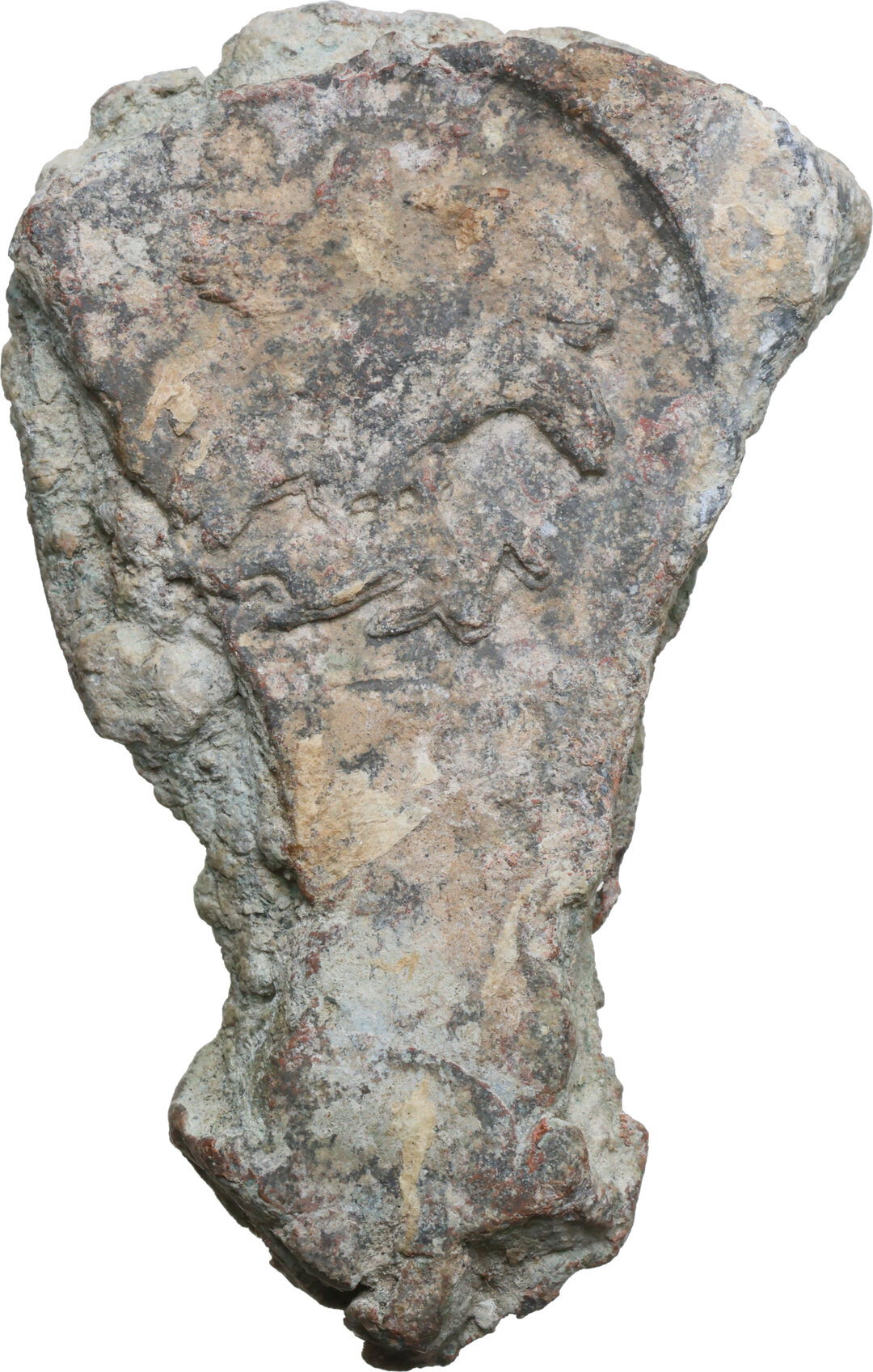 Dritto moneta