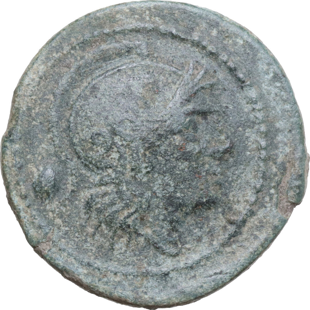 Dritto moneta