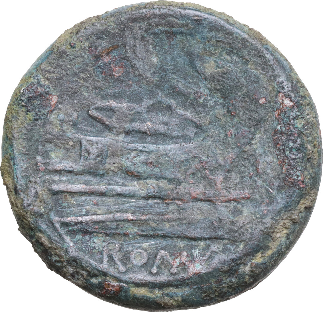 Rovescio moneta