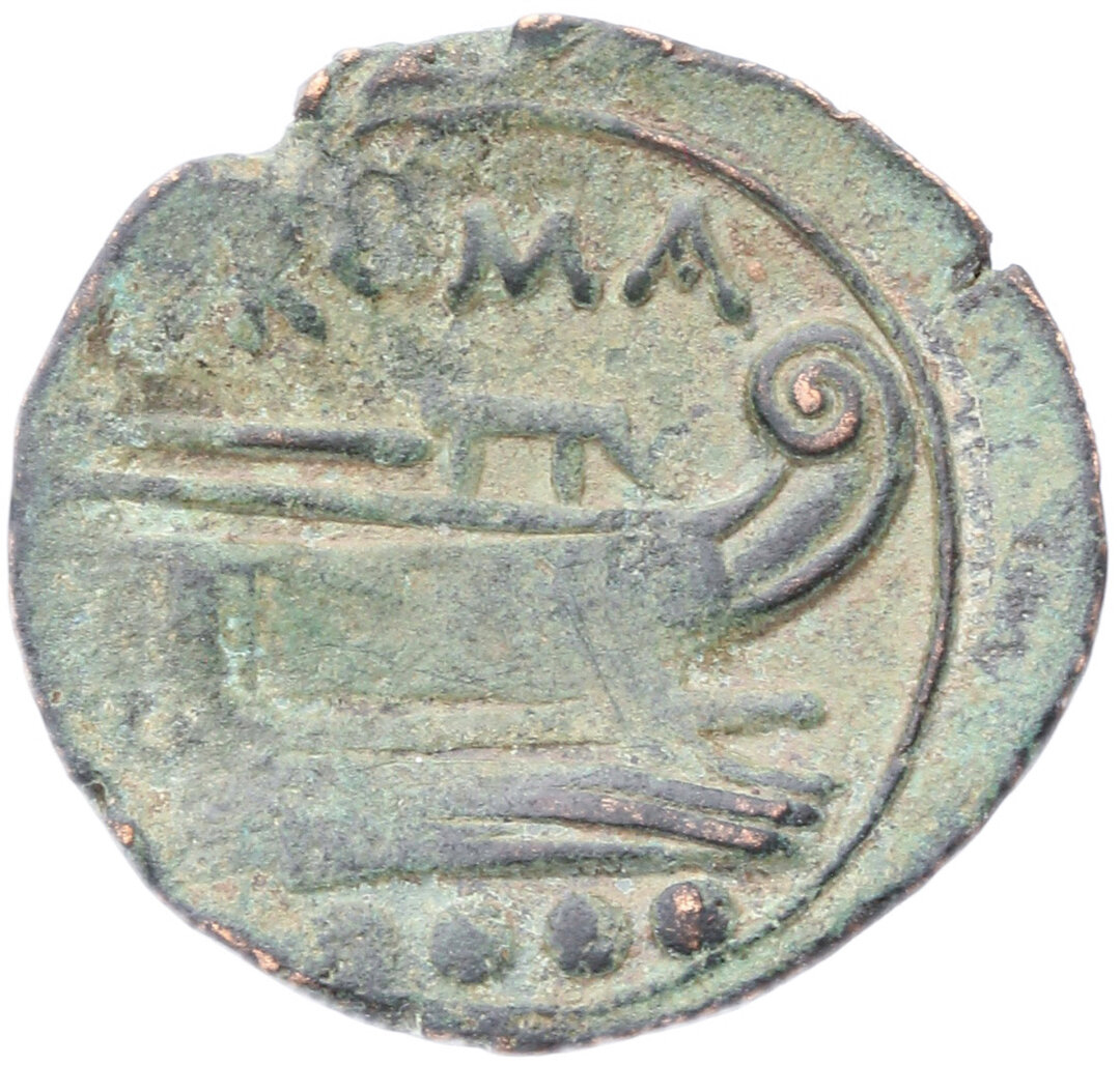 Rovescio moneta