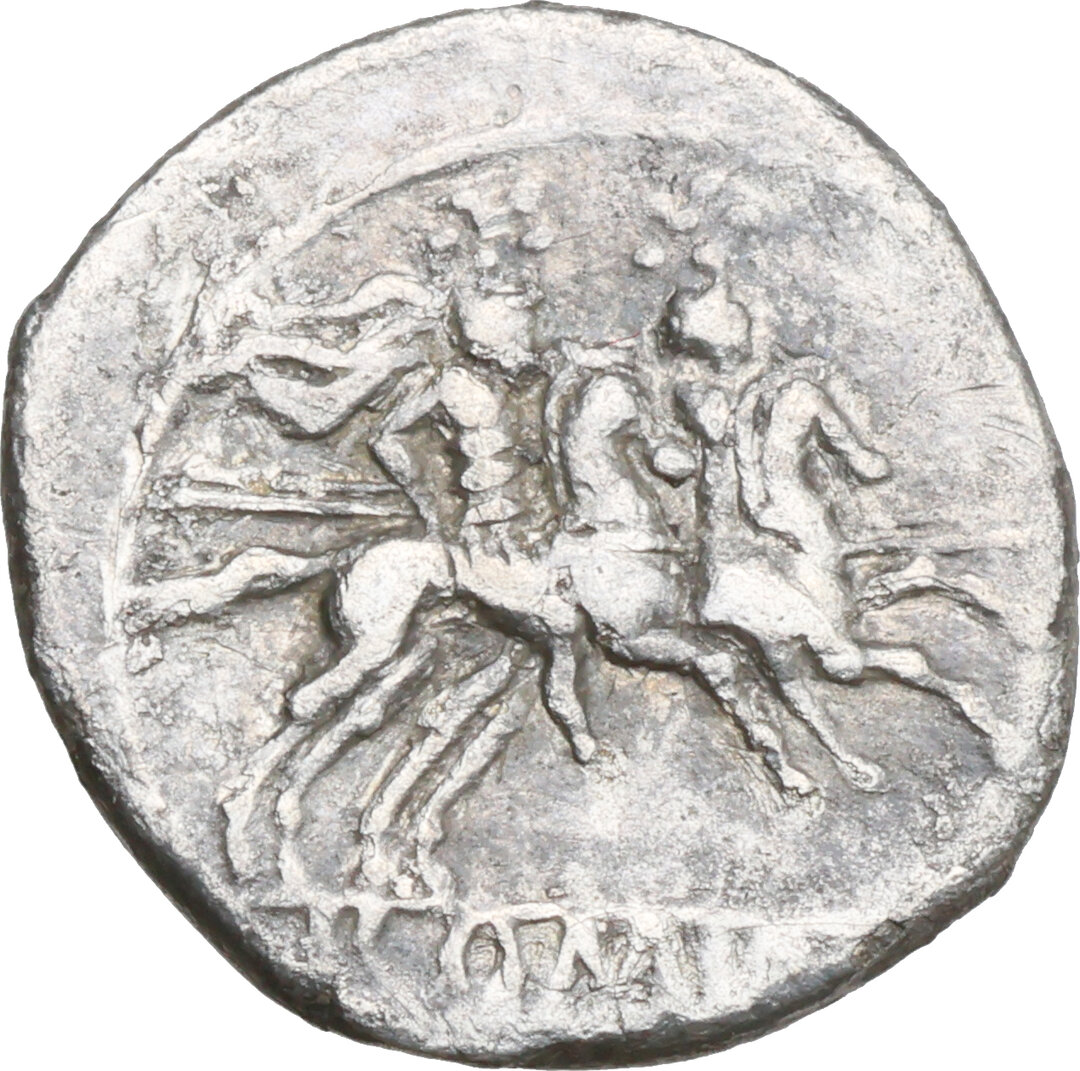 Rovescio moneta