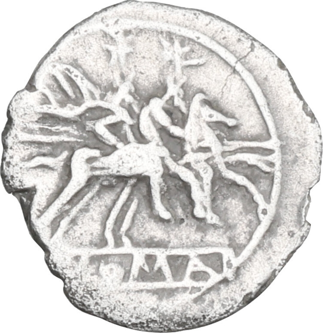 Rovescio moneta