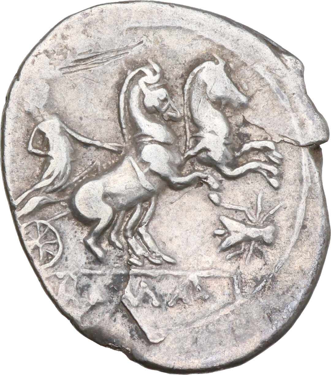 Rovescio moneta