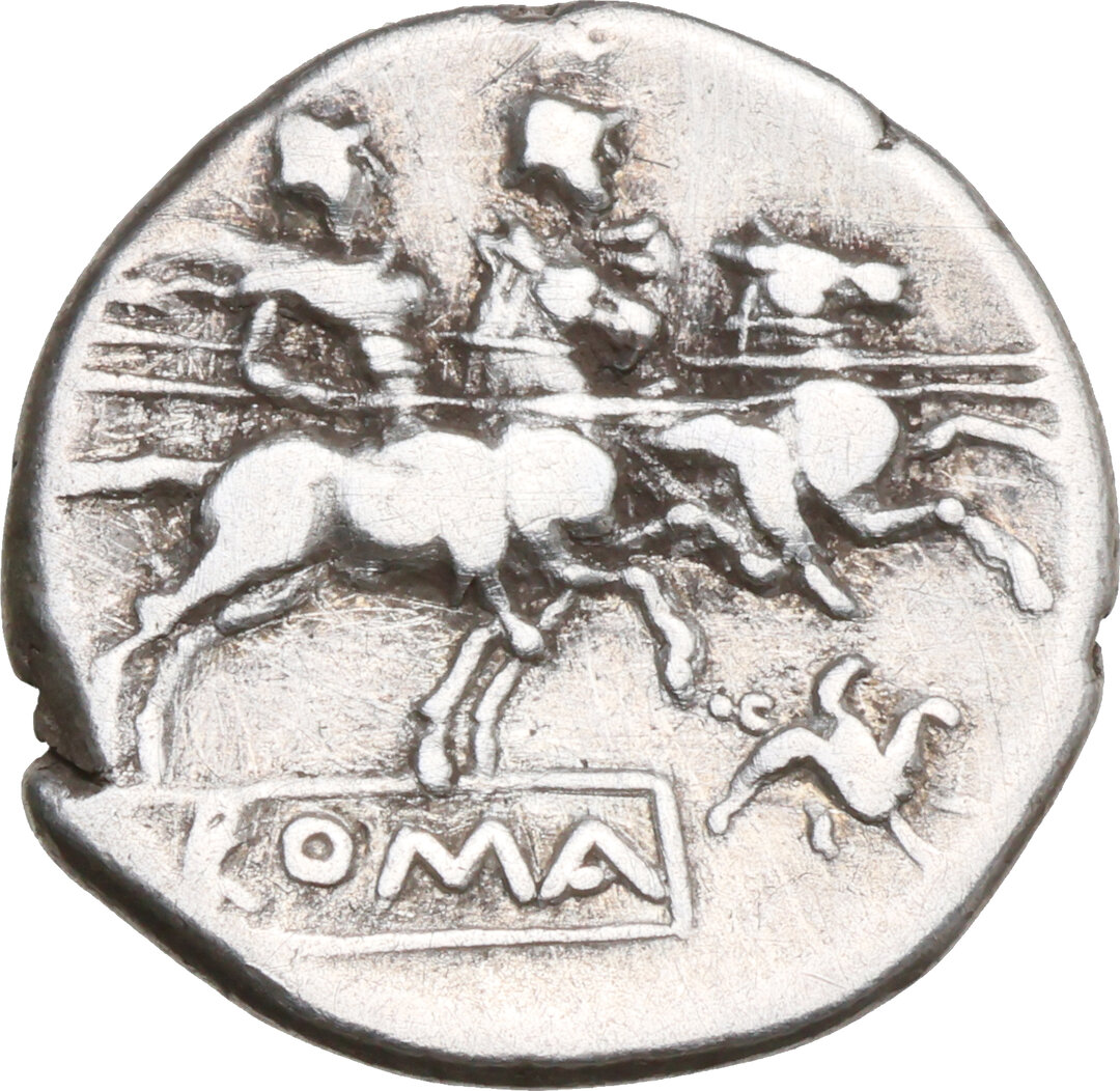 Rovescio moneta