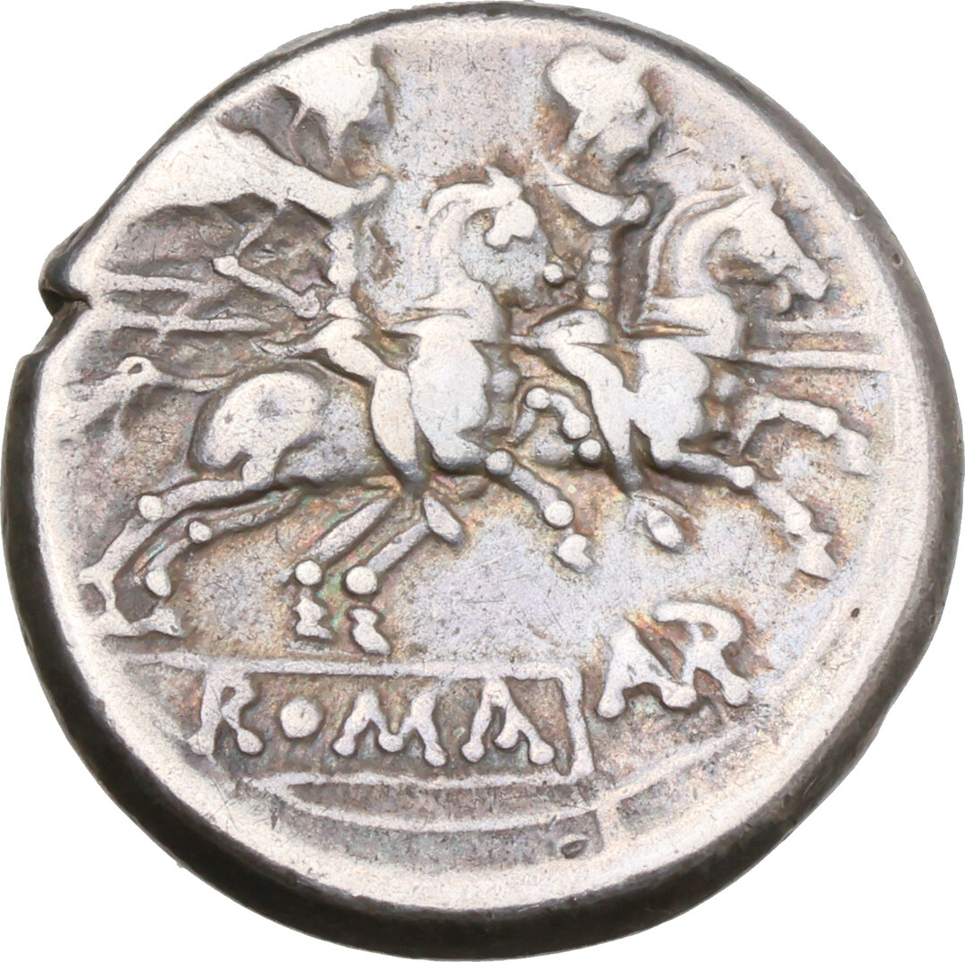 Rovescio moneta
