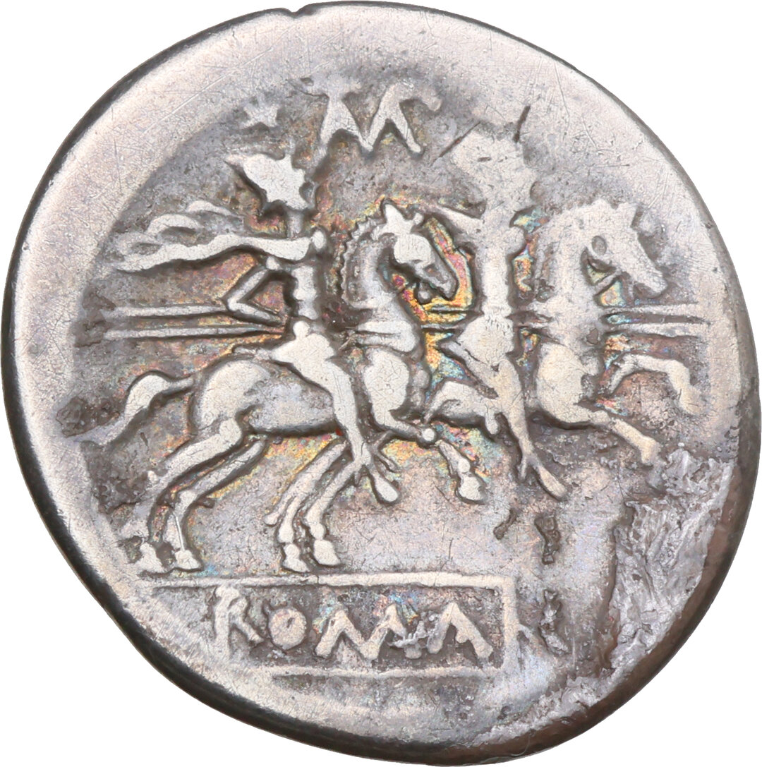 Rovescio moneta