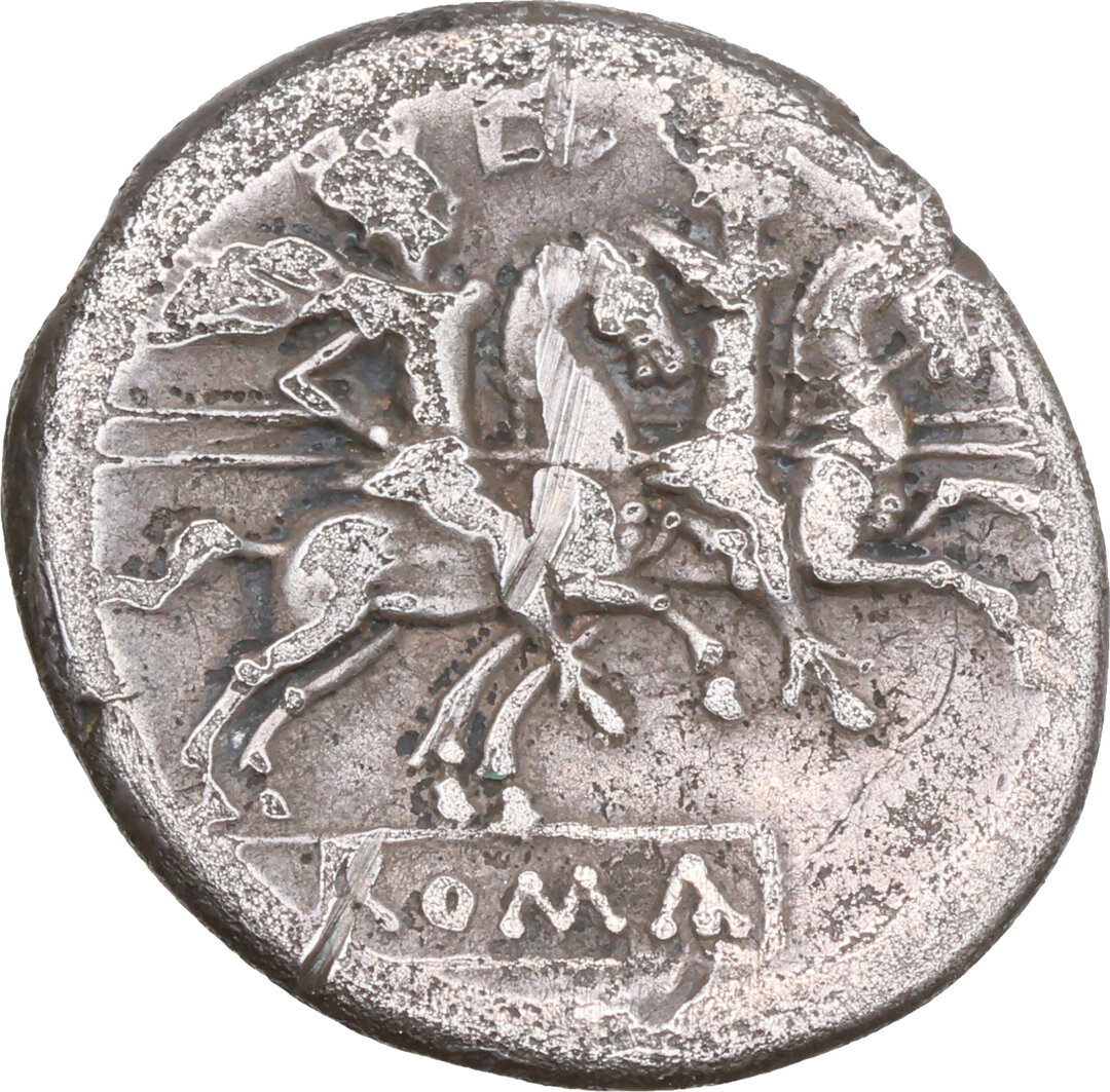 Rovescio moneta
