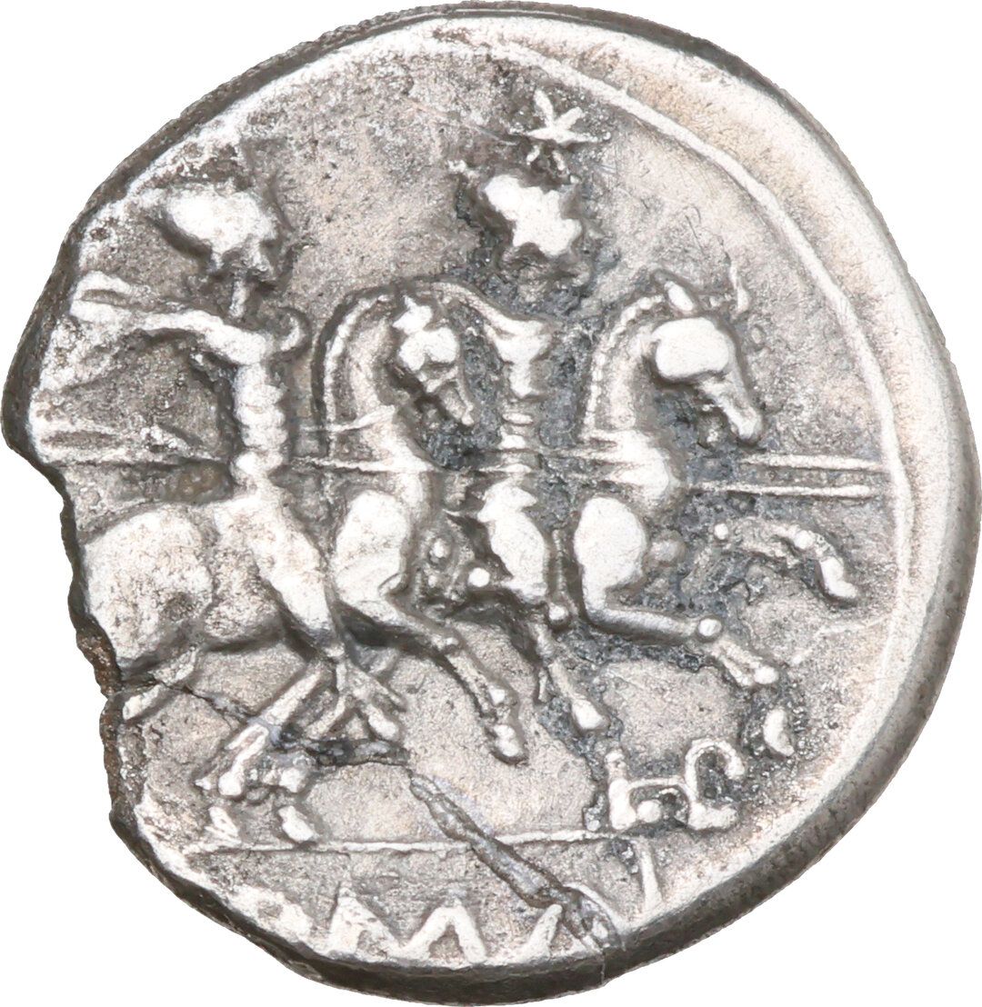 Rovescio moneta