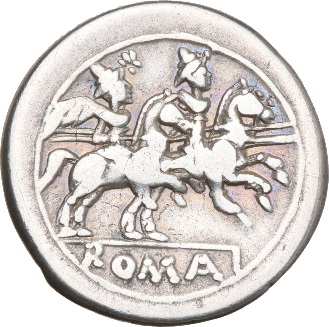 Rovescio moneta