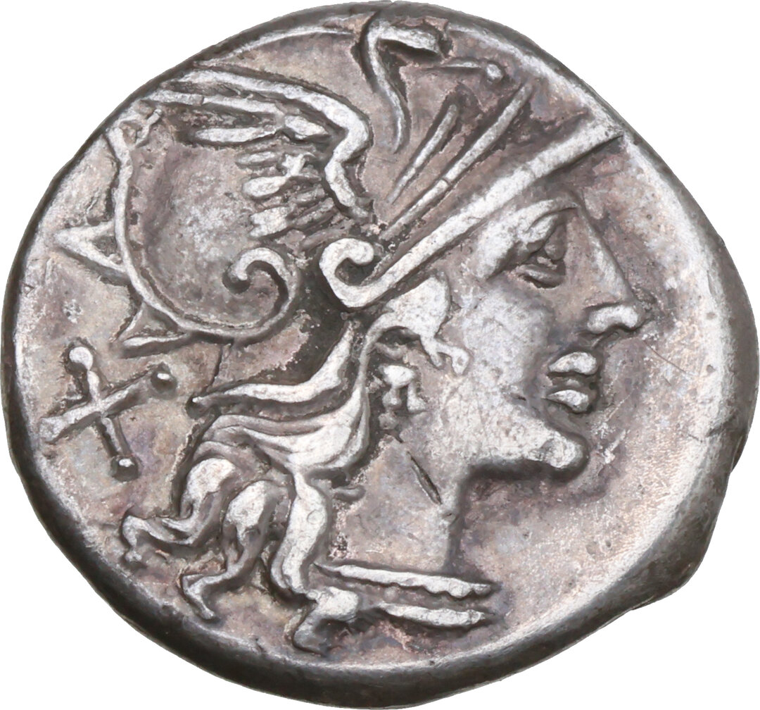 Dritto moneta