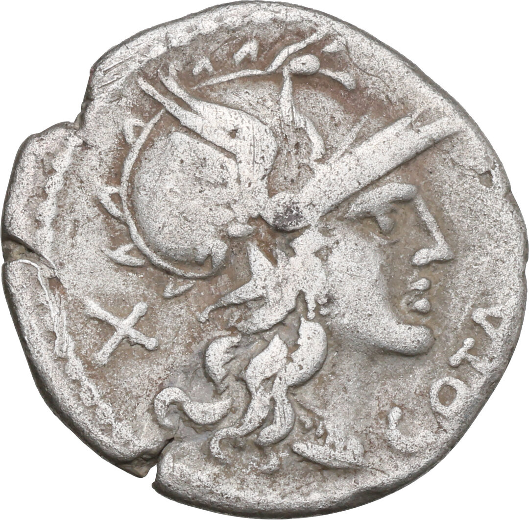 Dritto moneta