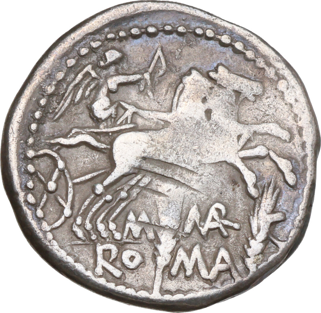 Rovescio moneta