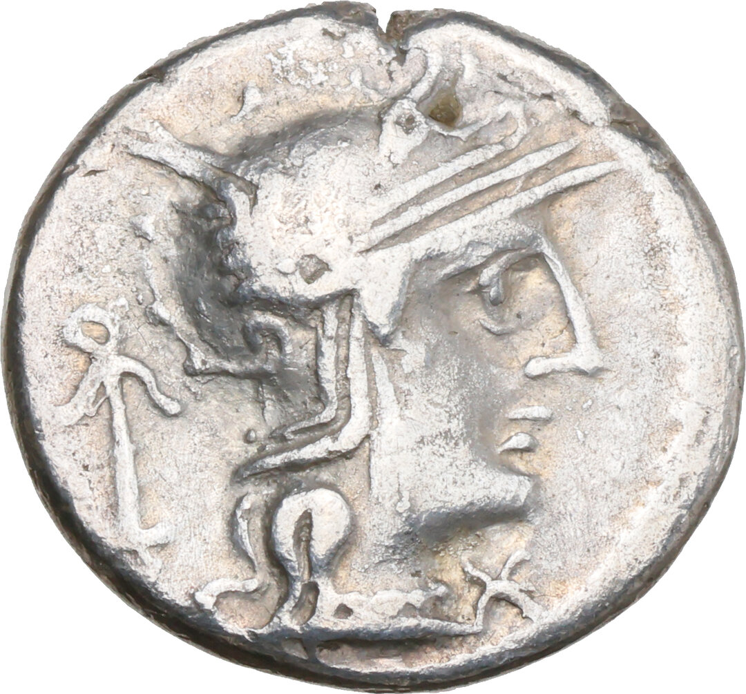 Dritto moneta