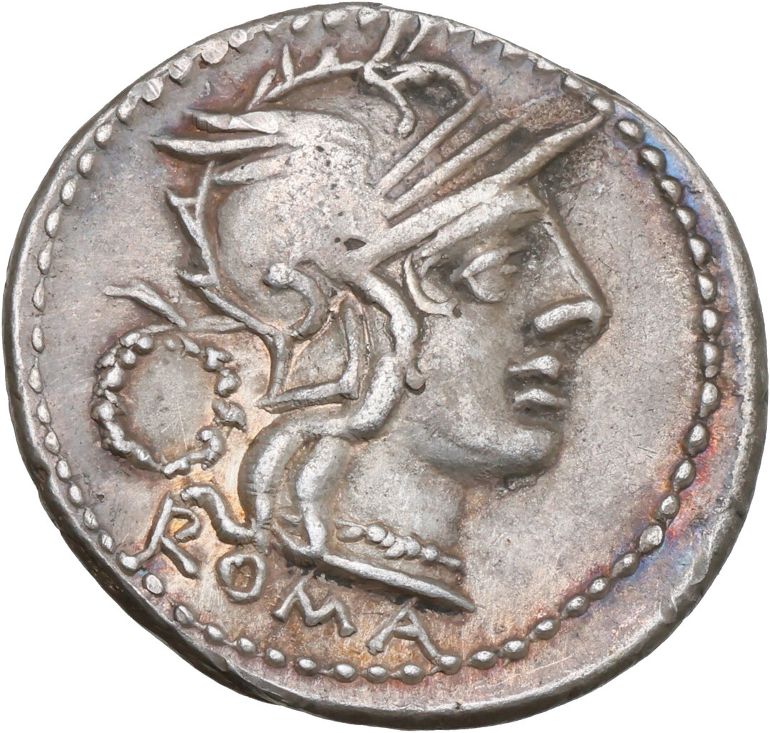 Dritto moneta