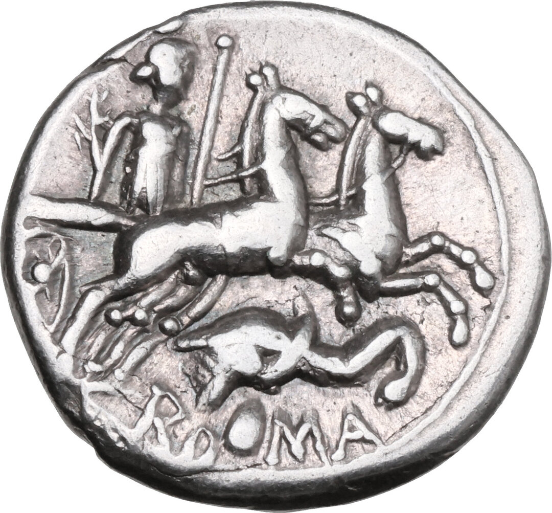 Rovescio moneta