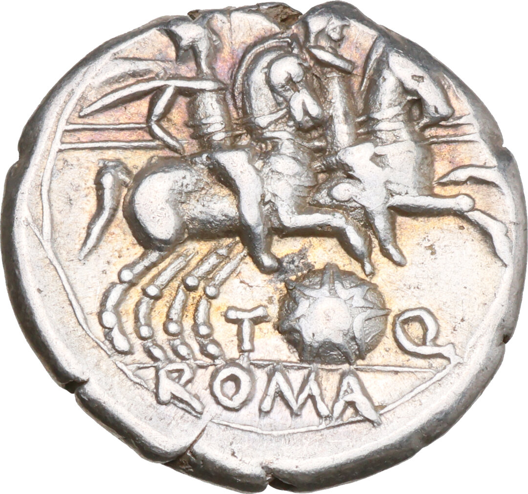 Rovescio moneta
