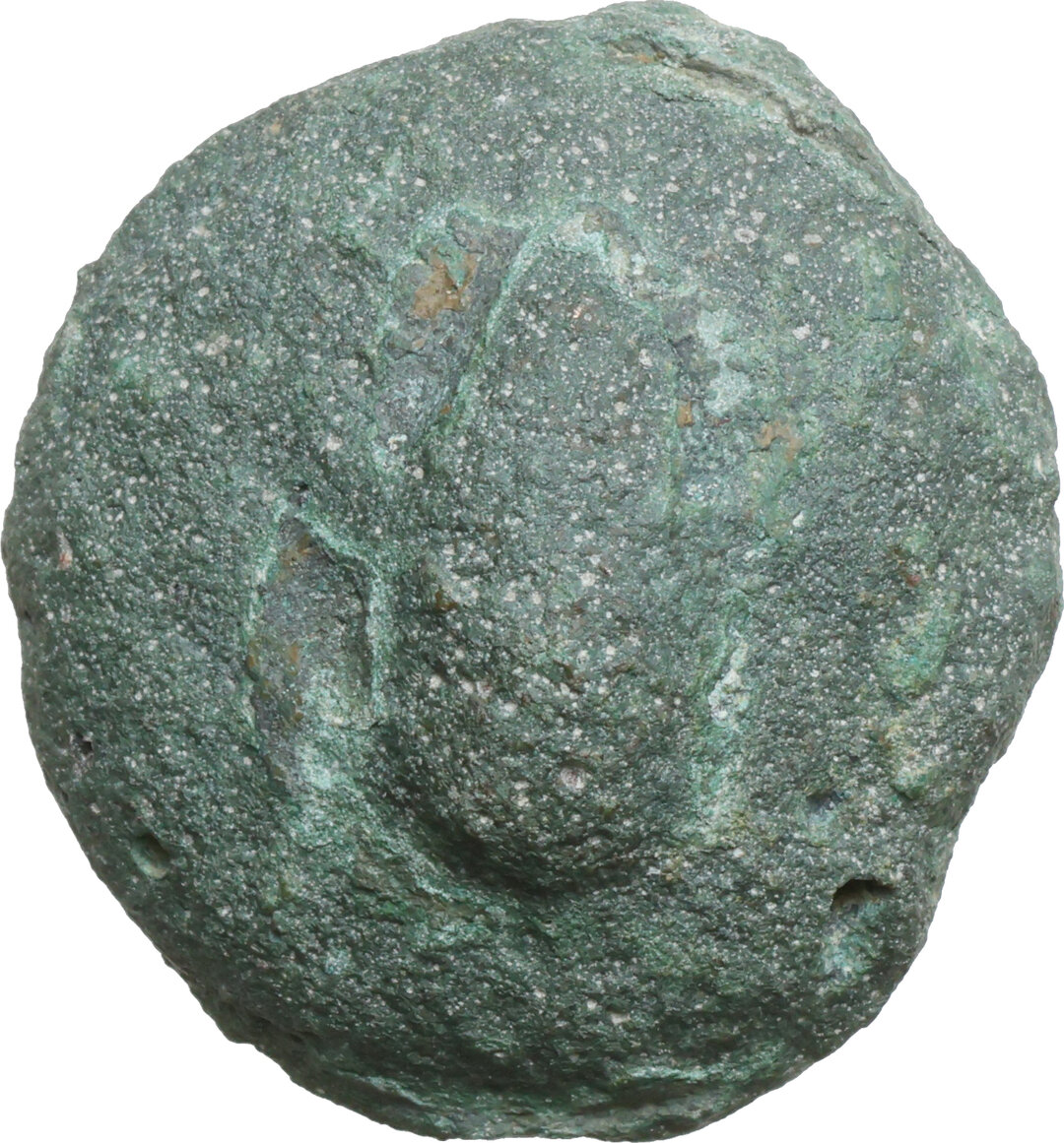 Dritto moneta