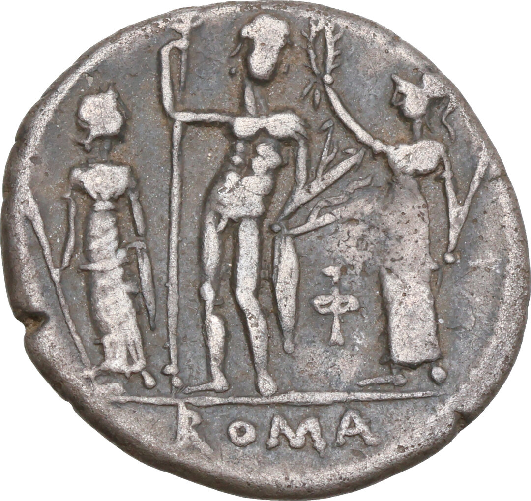 Rovescio moneta
