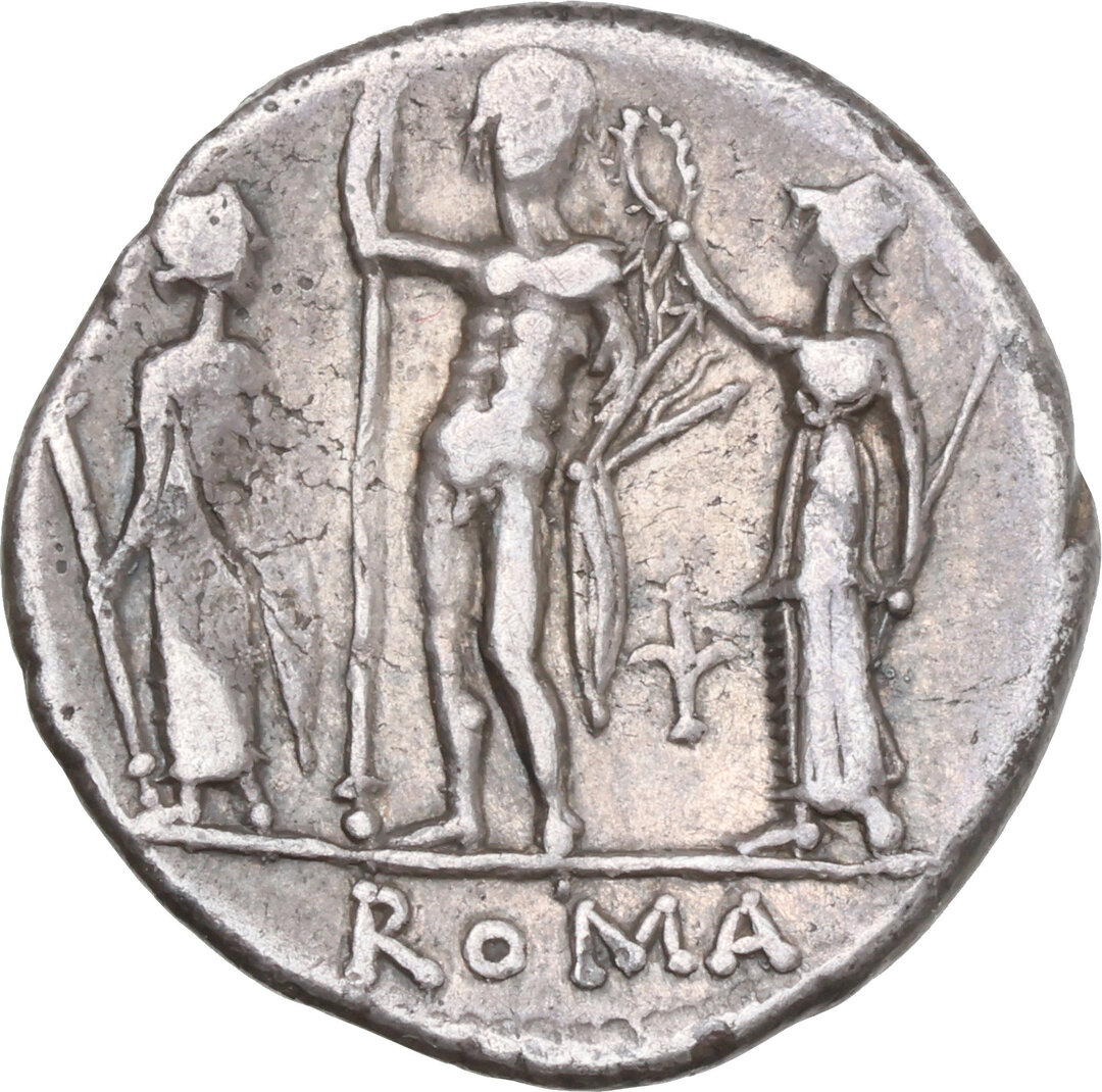 Rovescio moneta